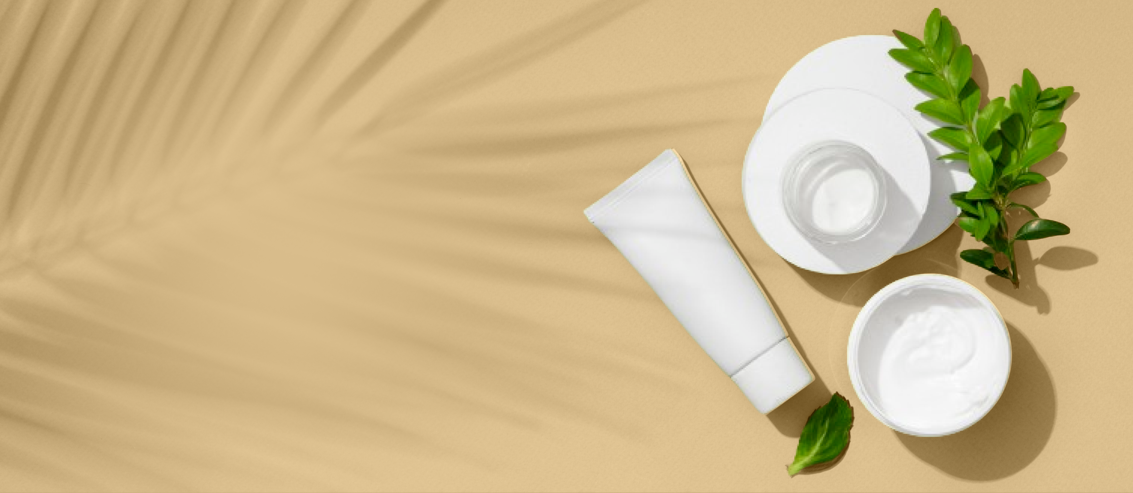 bg section.png__PID:b7a8a053-da7b-44da-8621-9167bb3afec1