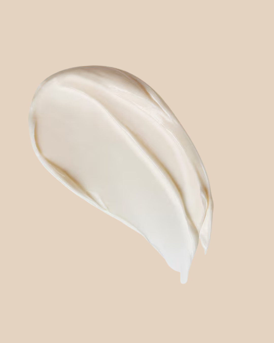 Rejuage Cream- Multifunctional Powerful Youth Moisturiser : Enriched with Bifida Ferment Lystate
