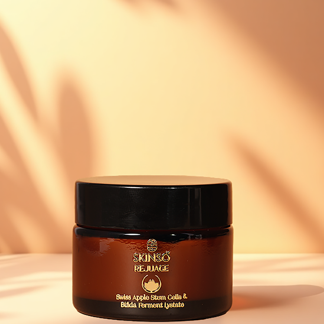 Rejuage Cream- Multifunctional Powerful Youth Moisturiser : Enriched with Bifida Ferment Lystate